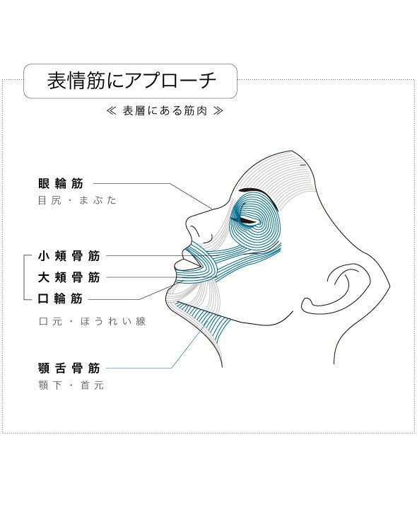 大割引人気爆発 リフトプラスティ 美容ローラー美顔器0070 26 表情筋エクササイズ美顔グッズフェイスケア表情筋ほうれい線フェイシャルマッサージ 人気商品