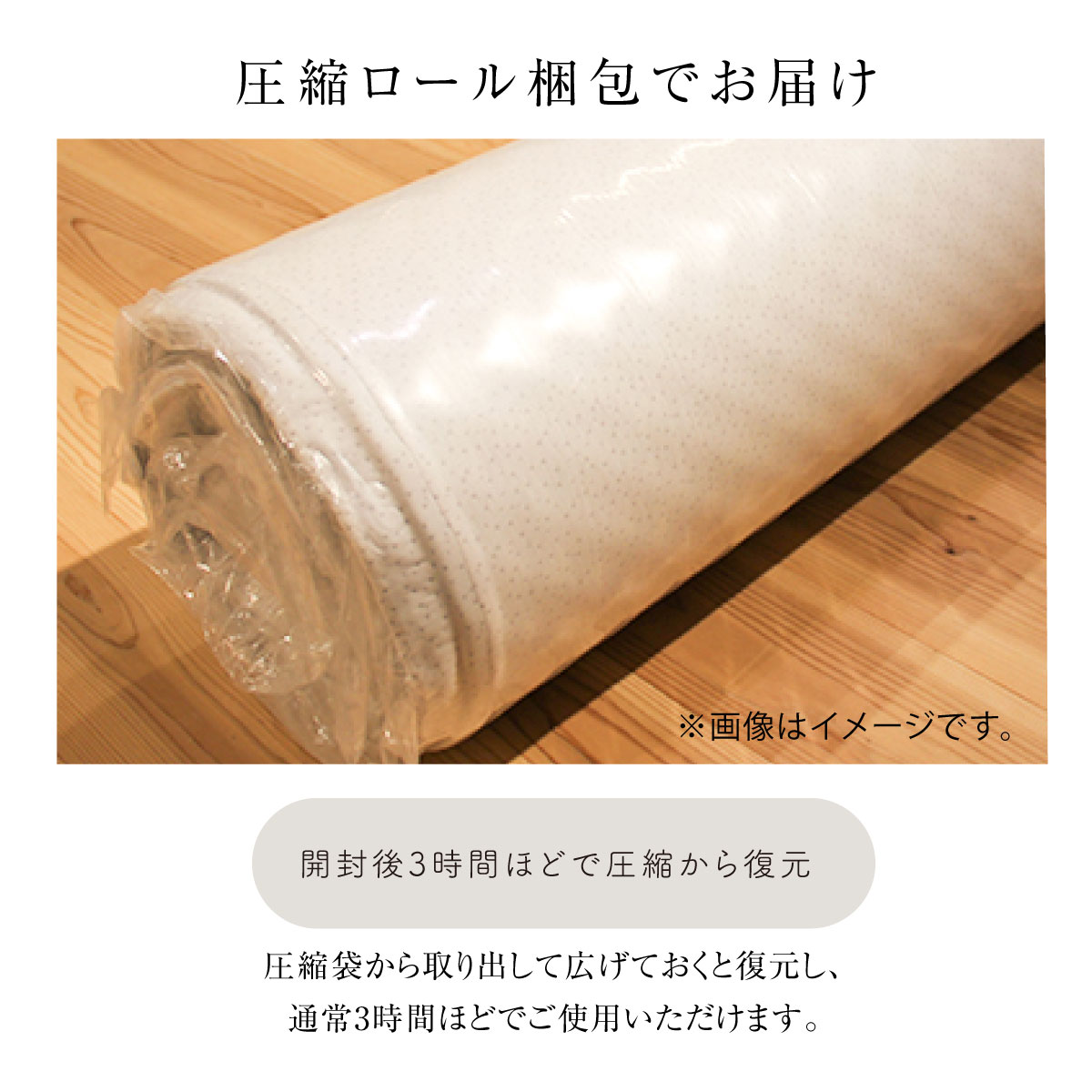 rakune8-16