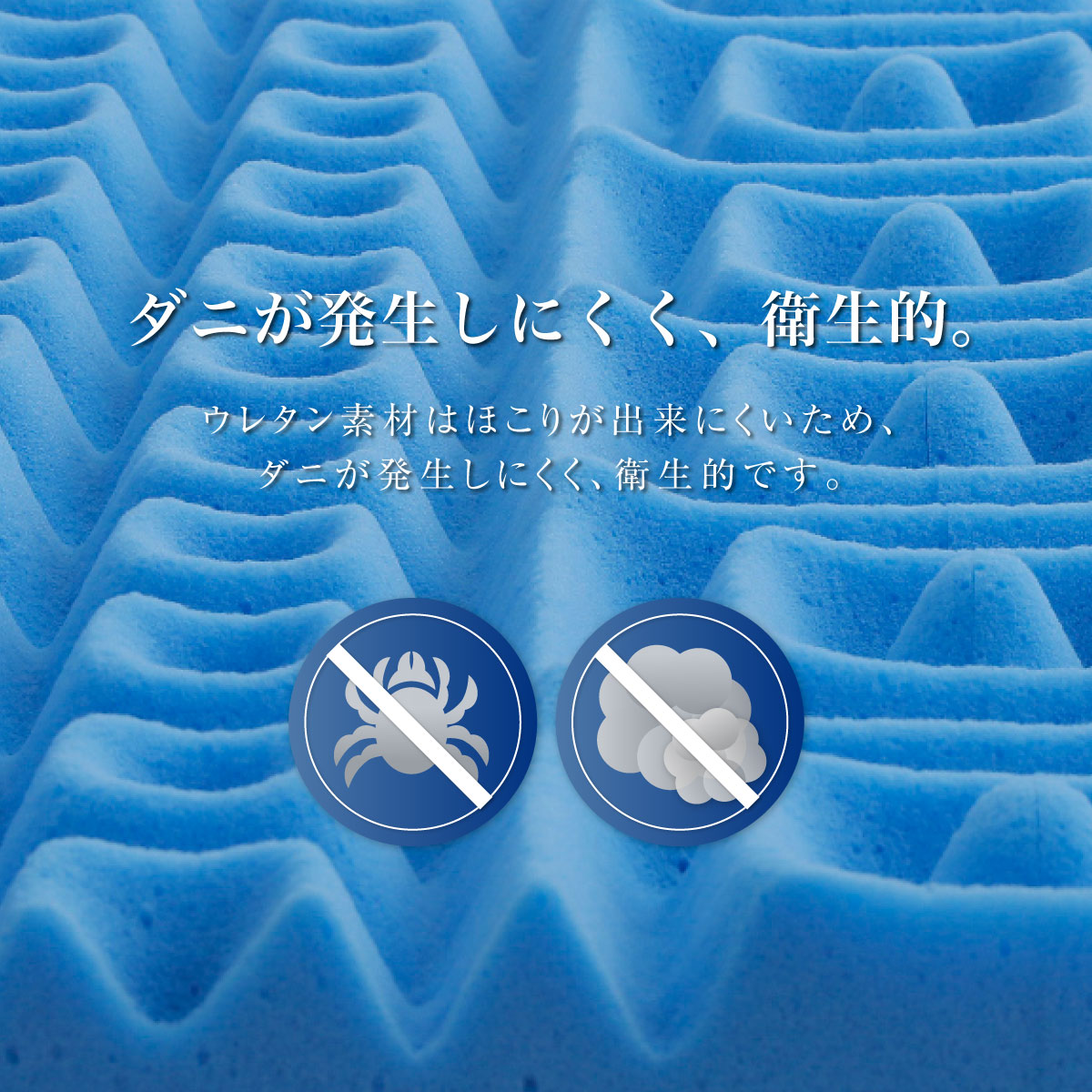 rakune8-10