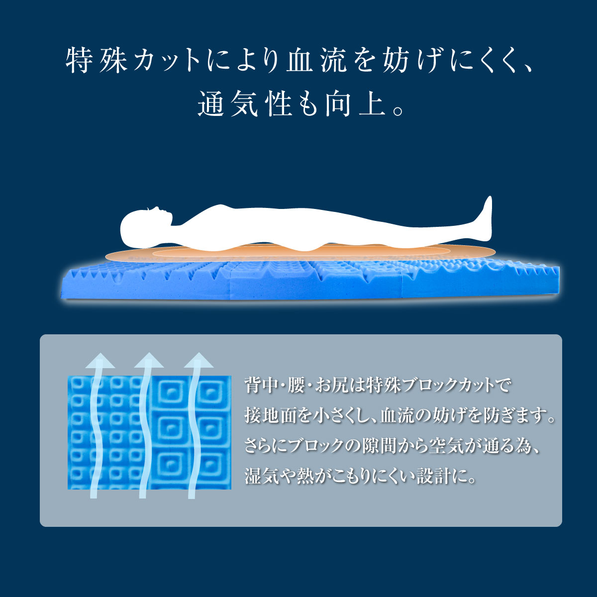 rakune8-5