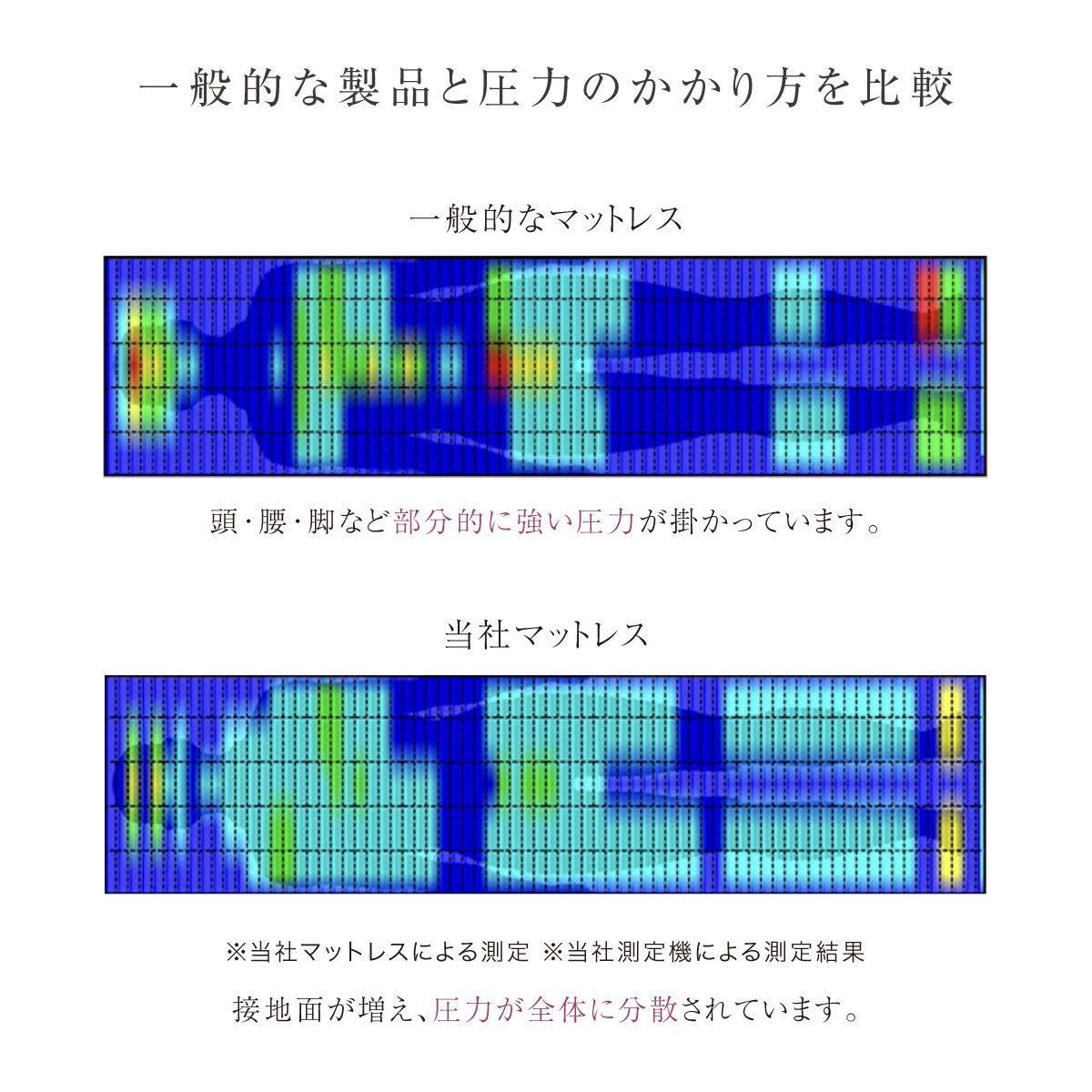 rakune8-7
