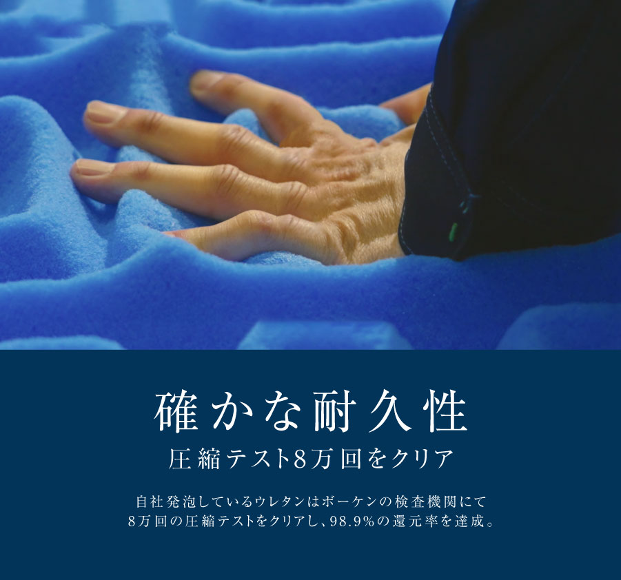 rakune8-12