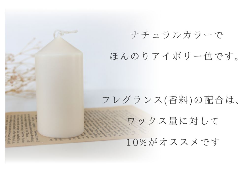 ソイワックス ピラーブレンド 20kg 大袋 エコソヤ エコソイ ecosoya