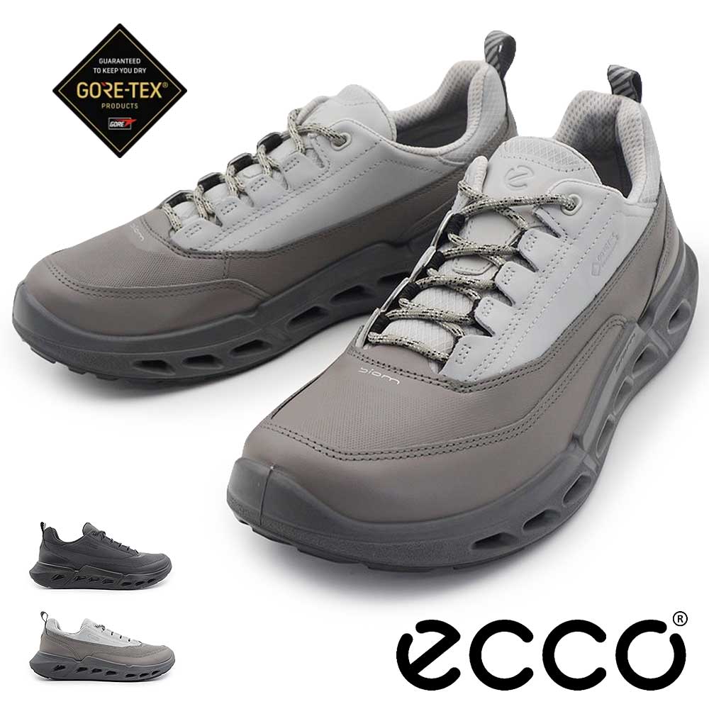 ecco（エコー） 靴 メンズ スニーカー ECCO Biom 720 850304 防水