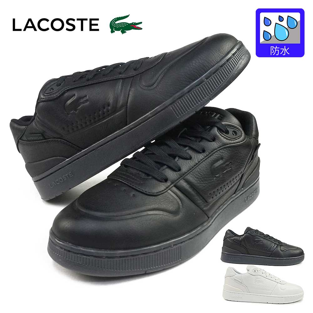 未使用・ラコステ　メンズ　シューズ　26cm 2025 LACOSTEテニスシューズ|オールコート - TENNIS PARADISE