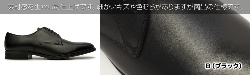 REGAL（リーガル） ロイドアンドヘイグ by 靴 メンズ LH02 プレーン