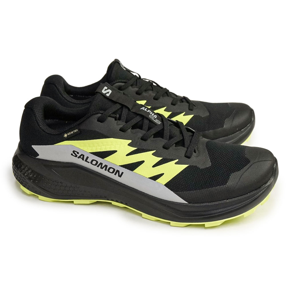 SALOMON（サロモン） メンズ 防水 軽量 スニーカー アルファ グライド
