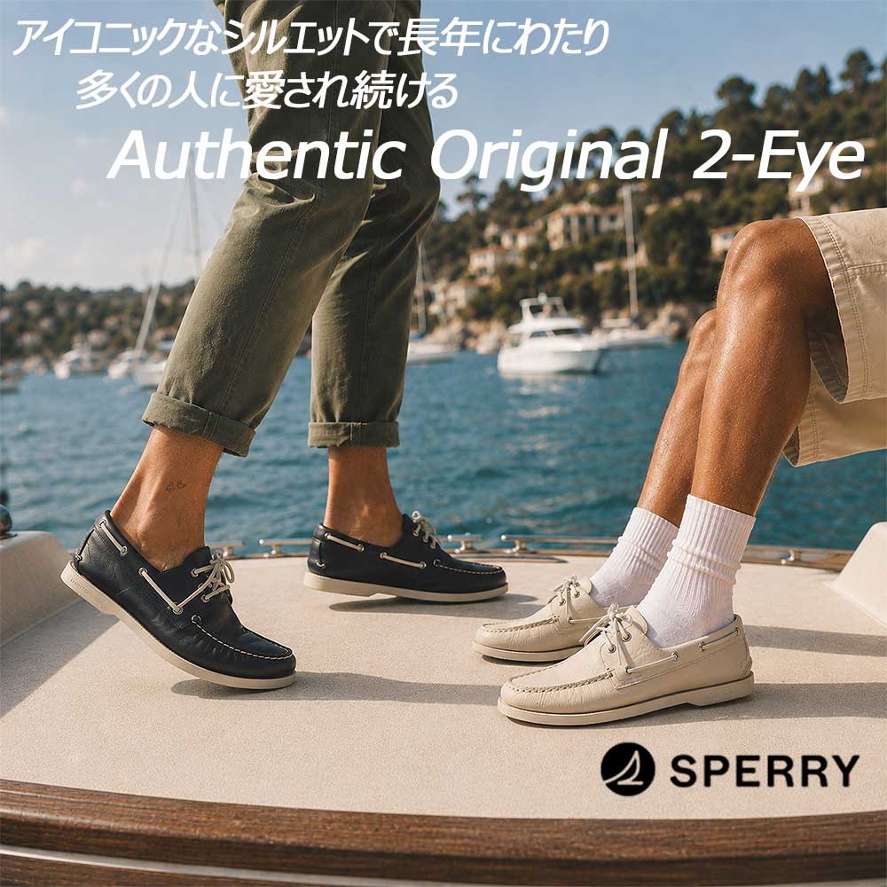 27cm 2足　トップサイダー　デッキシューズ Sperry スペリートップサイダー メンズ レザーデッキシューズ