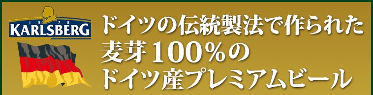 限定品国産 ビール マイワインクラブ - 通販 - PayPayモール ブロイベルグ ビール 330ml×48缶(2ケース)(送料無料) MyWineClub 定番高品質