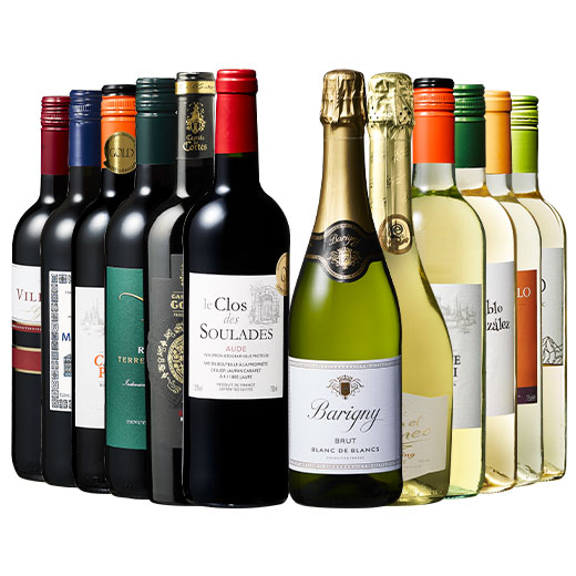 ワイン ワインセット 3大銘醸地入り!世界の選りすぐり赤・白・スパークリングワイン飲み比べ12本セット 第8弾 送料無料