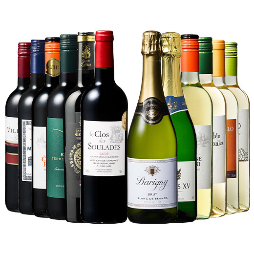 ワイン ワインセット 3大銘醸地入り!世界の選りすぐり赤・白・スパークリングワイン飲み比べ12本セット 第10弾 送料無料