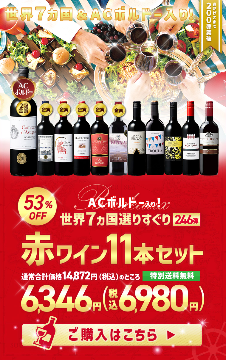 【特別送料無料】３大銘醸地入り！世界選りすぐり赤ワイン１２本セット246弾