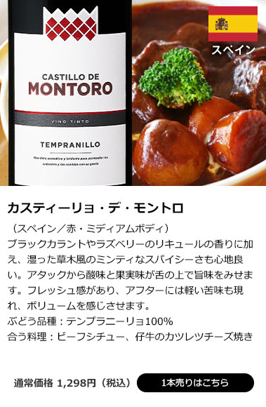 カスティーリョ・デ・モントロ