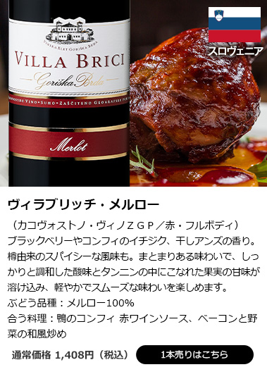 ヴィラブリッチ・メルロー(カコヴォストノ・ヴィノZGP/赤・フルボディ)