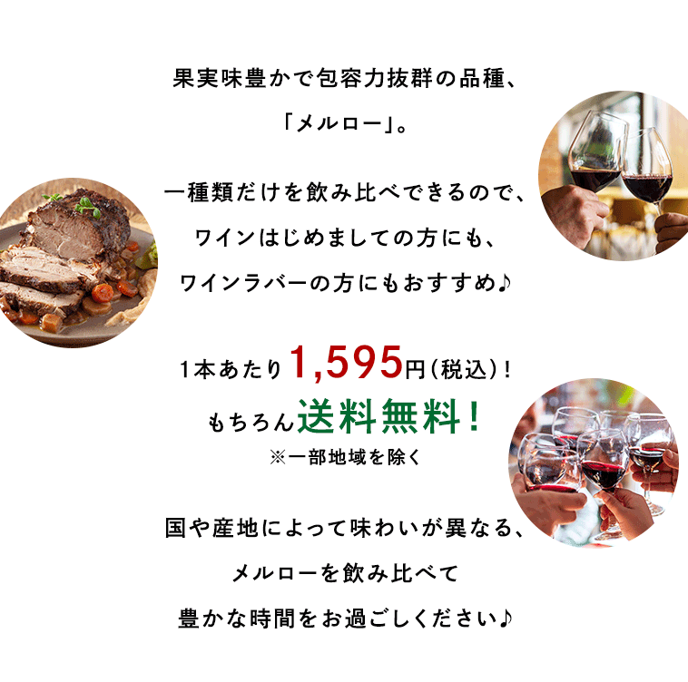 果実味豊かで包容力抜群の品種メルロー/1本あたり1,595円（税込）