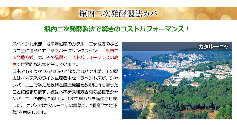 瓶内二次発酵製法カバ