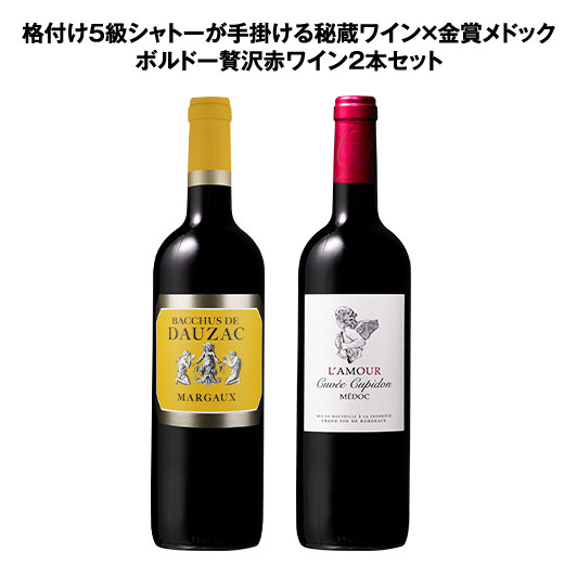 ワイン ワインセット 赤ワイン 格付け5級シャトーが手掛ける秘蔵ワイン＆金賞メドック ボルドー贅沢赤ワイン2本セット