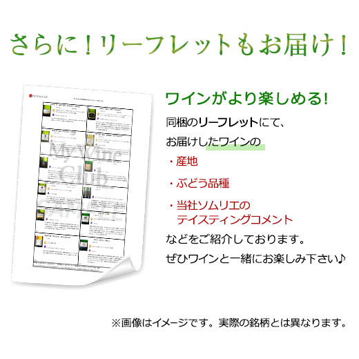 ワイン 白ワインセット 【51%OFF】 三大...の詳細画像5