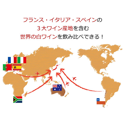 ワイン 白ワインセット 【51%OFF】 三大...の詳細画像3