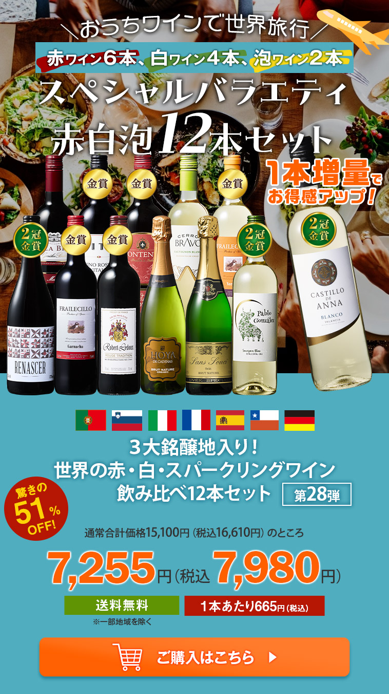 ３大銘醸地入り！世界の赤・白・スパークリングワイン飲み比べ12本セット 第28弾