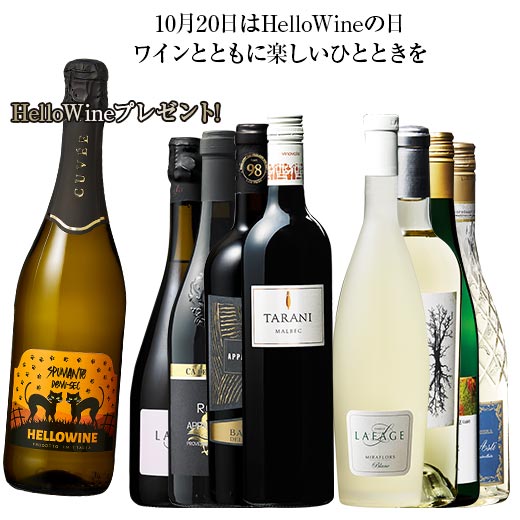 ワイン ワインセット HelloWineプレゼント!Hello赤白スパークリングワイン8本セット 送料無料｜mywine