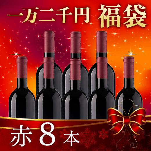 ワイン ワインセット 赤ワイン 【一万二千円福袋】赤8本