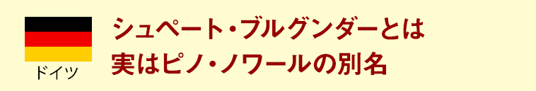 シュペート・ブルグンダーとは実はピノ・ノワールの別名