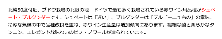 シュペート・ブルグンダーとは実はピノ・ノワールの別名