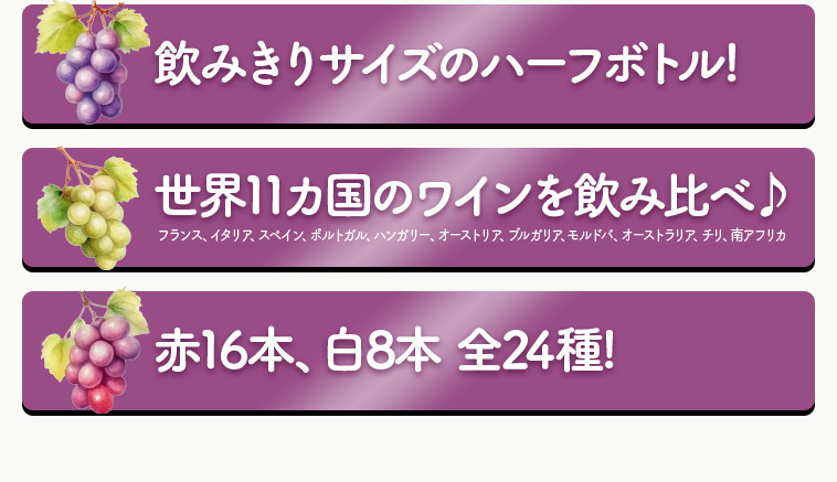 飲みきりサイズのハーフボトル!世界11カ国のワインを飲み比べ♪赤16本、白8本 全24種!