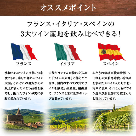 ワイン スパークリングワインセット 3大銘醸地...の詳細画像3