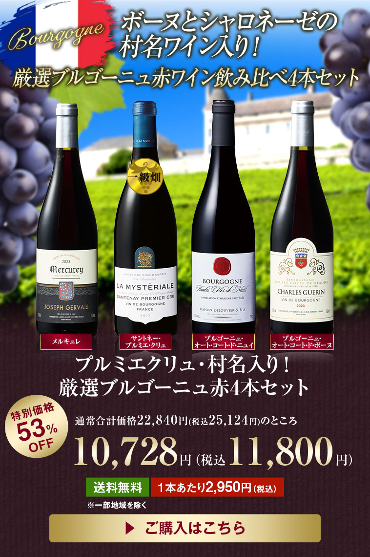 ワイン ワインセット 赤ワイン プルミエクリュ・村名入り!厳選