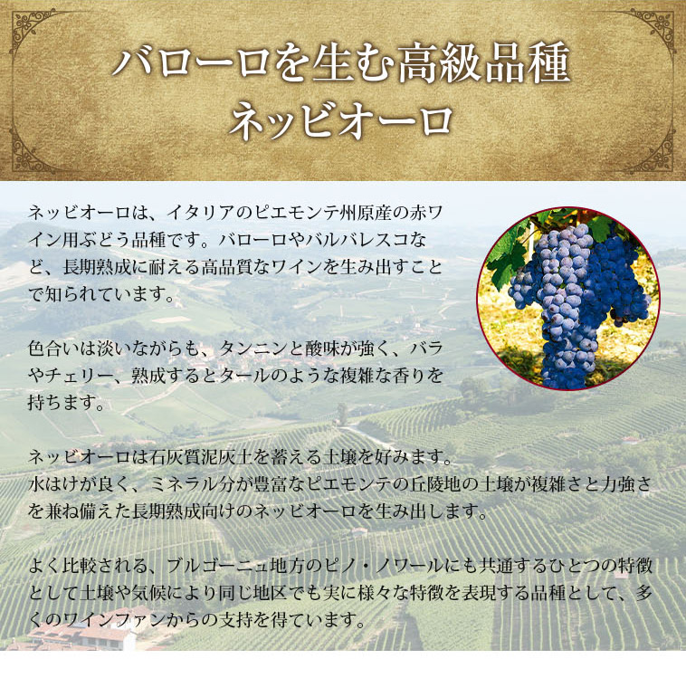 バローロを生む高級品種 ネッビオーロ
