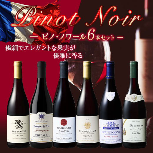 ワイン 赤ワインセット ブルゴーニュ・ピノ・ノワール6本セット 第4弾