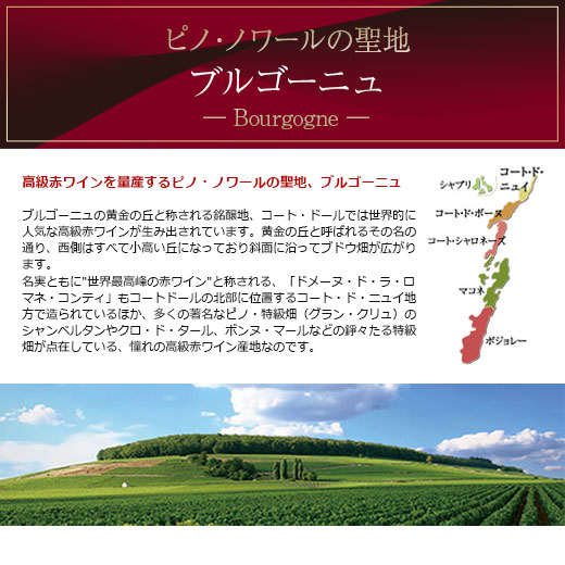 ワイン 赤ワインセット ブルゴーニュ・ピノ・ノ...の詳細画像3