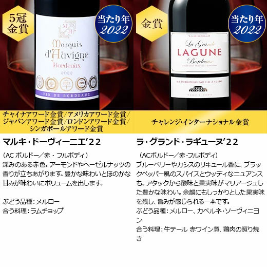 ボルドー格付けワイン２本セット ボルドー格付けワイン2本セット ボルドー赤ワイン2本セット【eGift