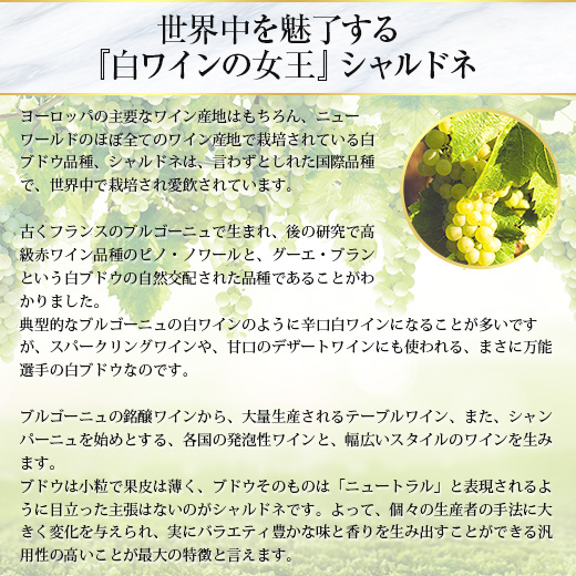 ワイン 白ワインセット 45%OFF ブルゴー...の詳細画像2