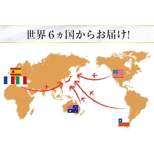 ワイン 白ワインセット 45%OFF ブルゴー...の詳細画像3