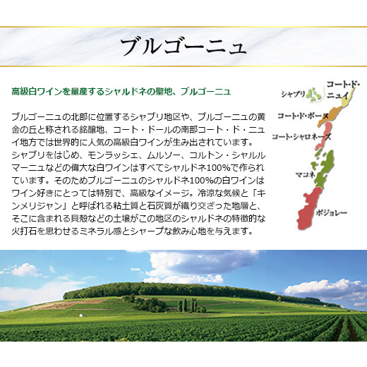 ワイン 白ワインセット 45%OFF ブルゴー...の詳細画像4