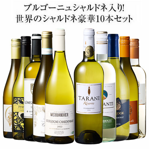 ワイン 白ワインセット 45%OFF ブルゴー...の詳細画像1