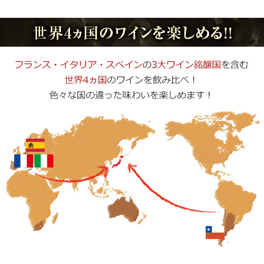 ワイン 赤ワインセット 「Yahooショッピン...の詳細画像3