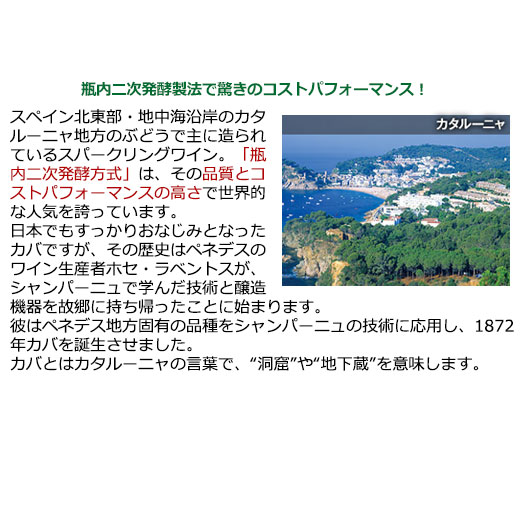 ワイン ワインセット 「Yahooショッピング...の詳細画像4