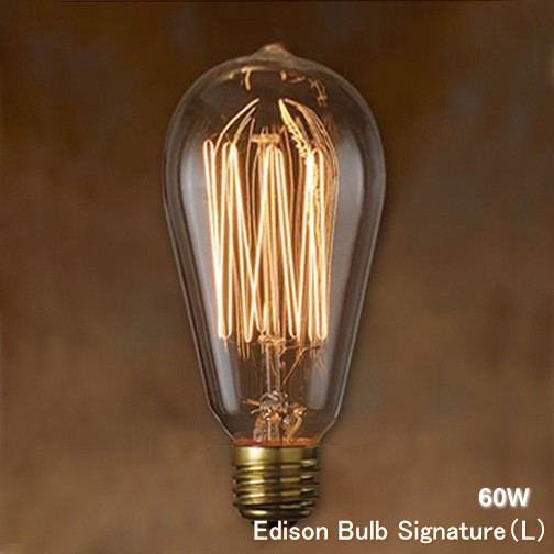 e26 60w edison bulb