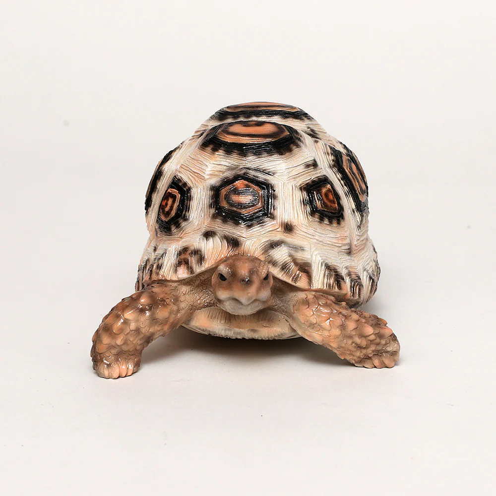 カメ 置物 ペットバンク レオパード トータス Pet Bank Leopard