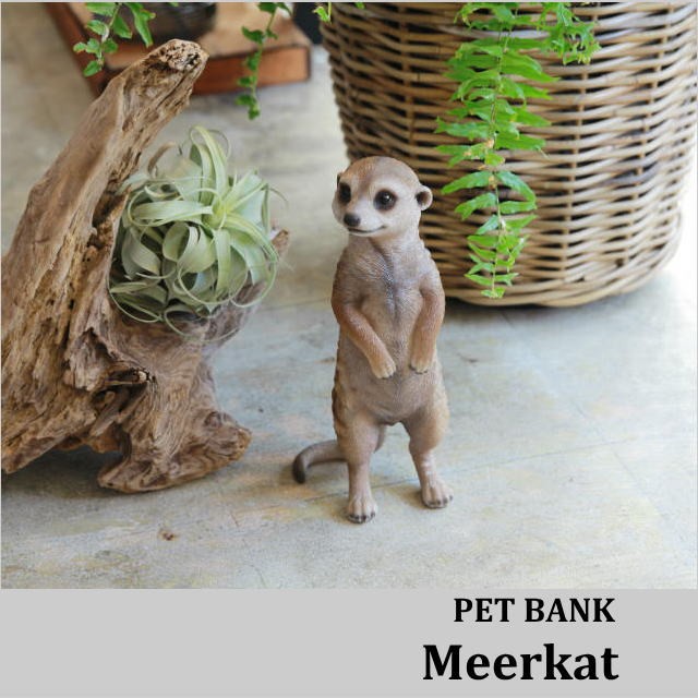 ミーアキャット 置物 ペットバンク Pet Bank Meerkat : インテリア