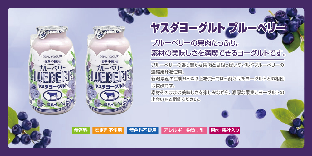 ヤスダヨーグルト 飲むヨーグルトブルーベリー 商品情報