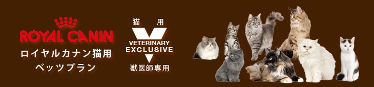 タイトル画像