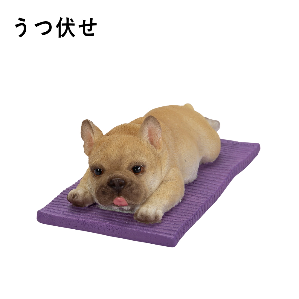 ヨガを楽しむフレンチブルドッグ WOOBIA ) ウービア ブルドッググッズ