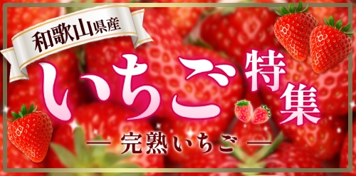 N-Styleヤフーショッピング店 - Yahoo!ショッピング