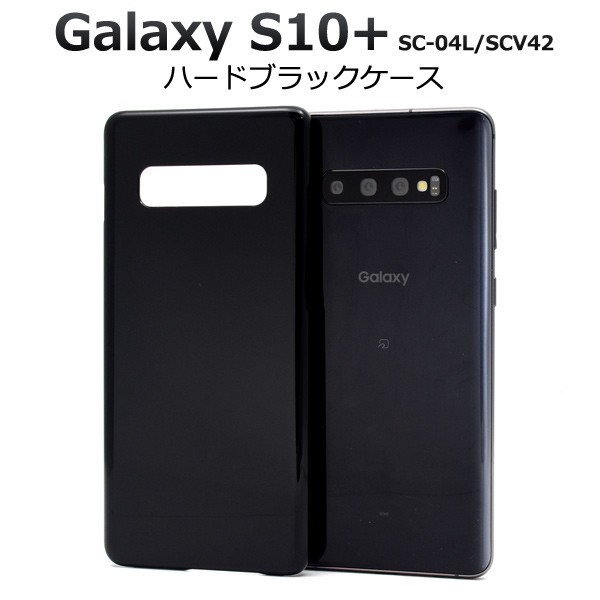 dsc04l-01bk-01.jpg