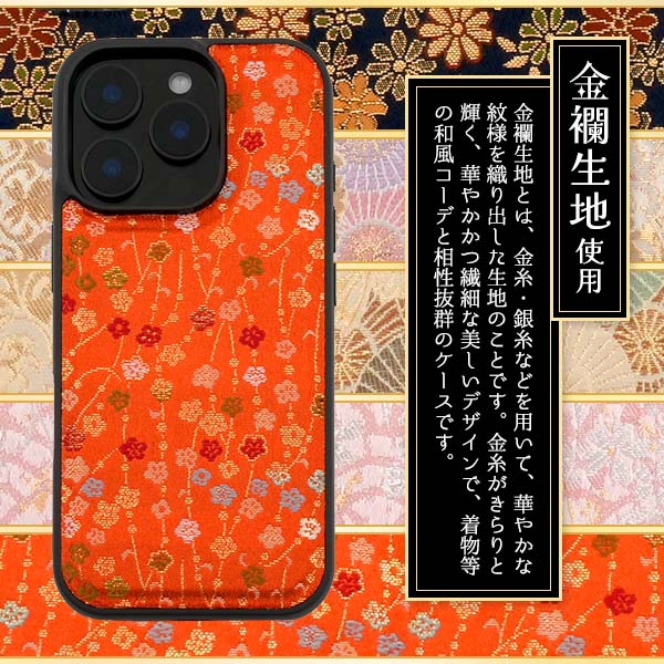ip21-m-04.jpg
